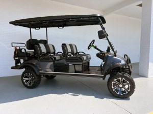Evolution Forester 6 Plus Limo Charcoal Lithium Cart 01